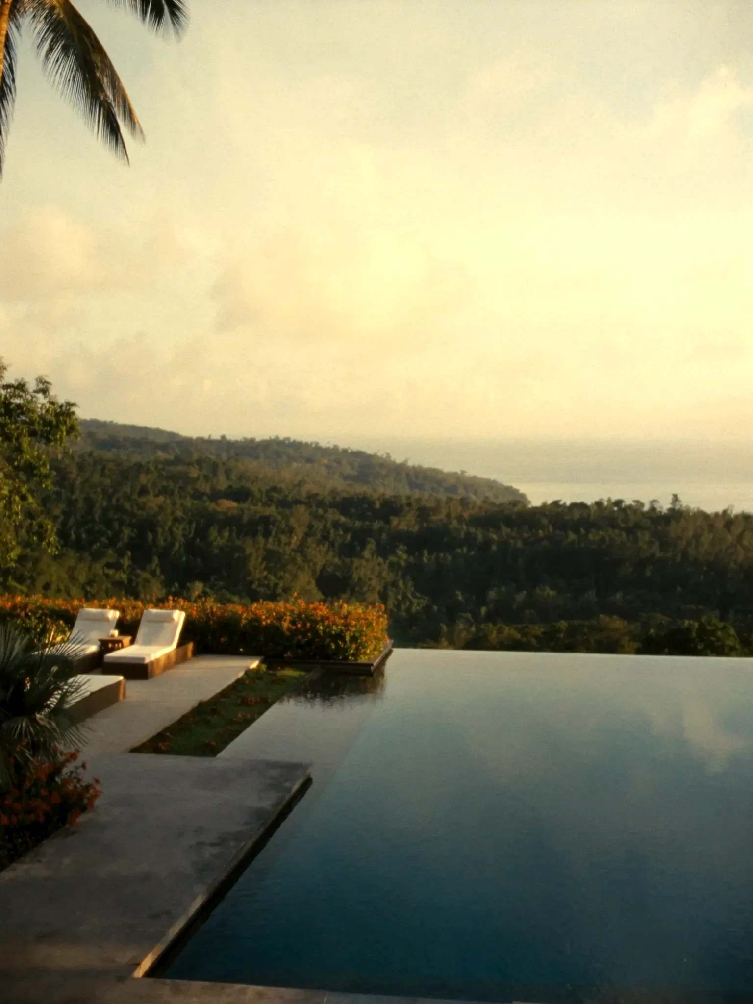 Resort pool among palms (placeholder)