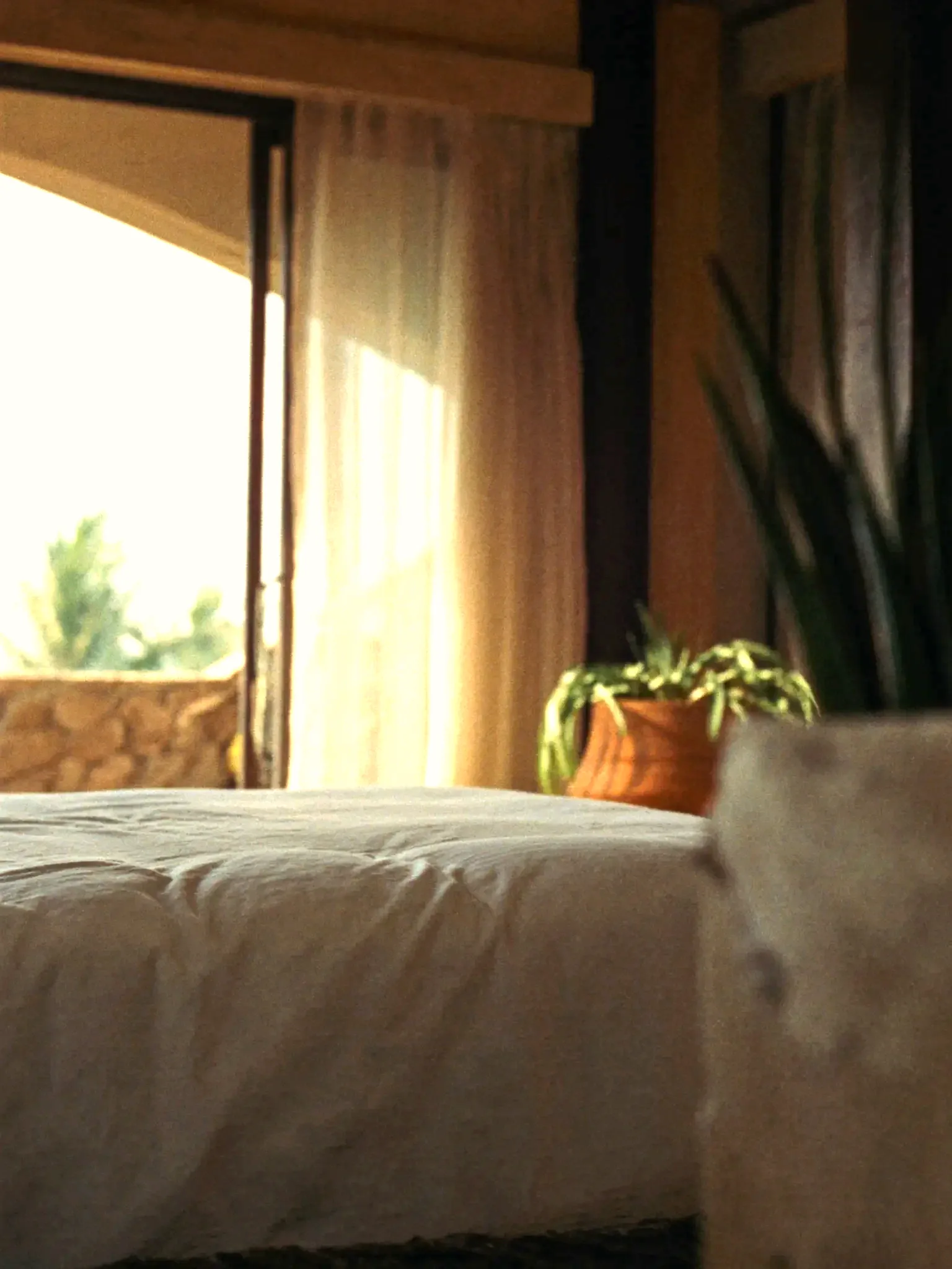 Boutique suite interior in warm light (placeholder)
