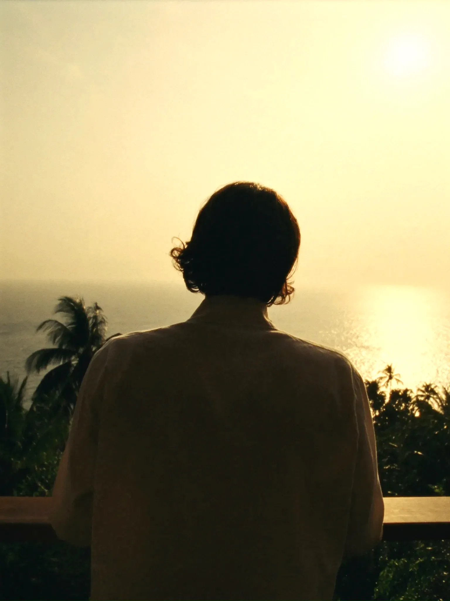 A guest at a railing overlooking the ocean (placeholder)